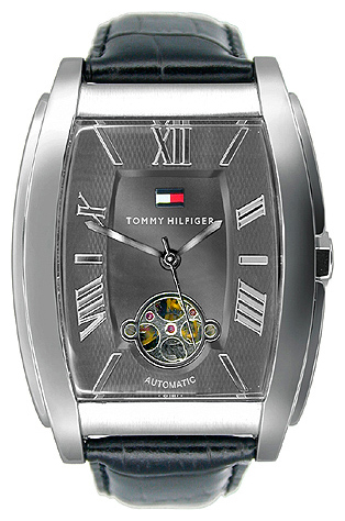 Tommy Hilfiger 1710141 wrist watches for men - 1 image, picture, photo