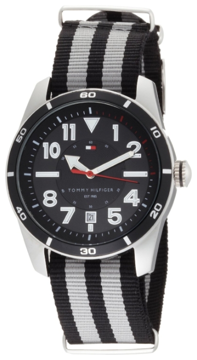 Tommy Hilfiger 1710272 wrist watches for men - 1 picture, photo, image