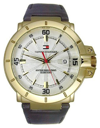 Tommy Hilfiger 1790513 wrist watches for men - 1 picture, photo, image