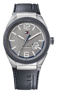 Tommy Hilfiger 1790725 wrist watches for men - 1 photo, image, picture