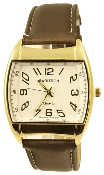 Zaritron GR008-3 wrist watches for men - 1 photo, image, picture