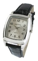 Zaritron GR013-1-s wrist watches for men - 1 photo, image, picture