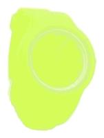 Wrist watch ZGO for Women - picture, image, photo